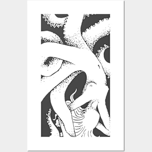 Octopus Posters and Art